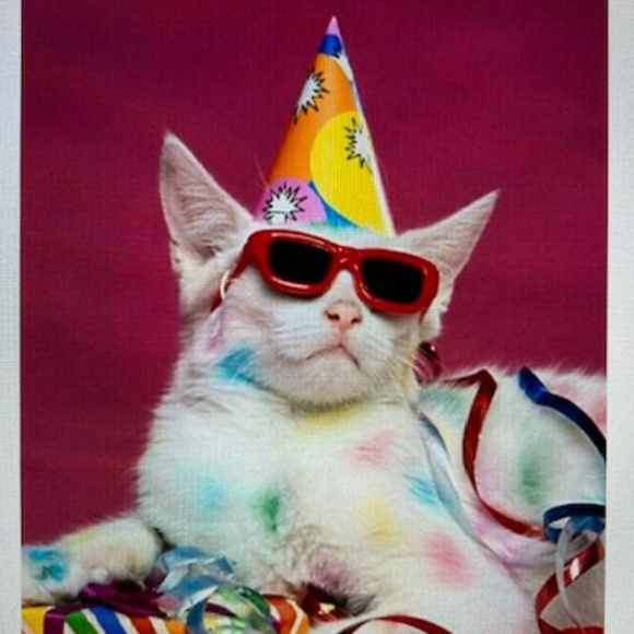 Purrrr⭐️I Found My Hat On Poshmark main image 11